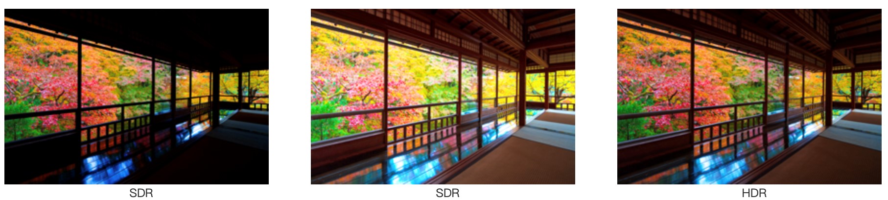 SDR HDR效果对比